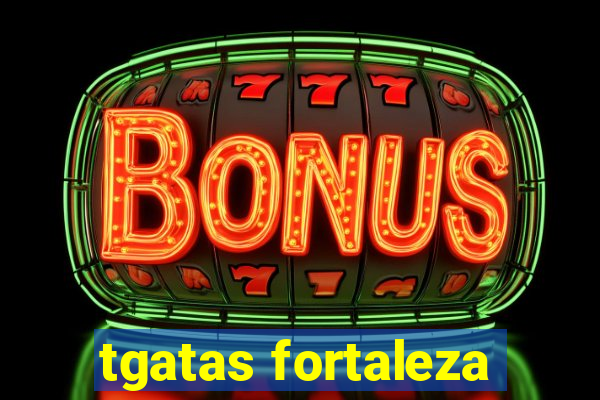 tgatas fortaleza